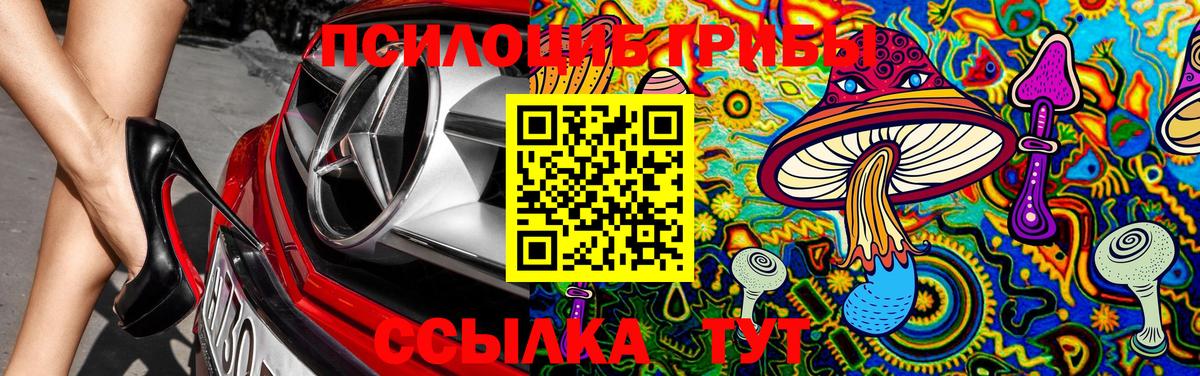 Галлюциногенные грибы Cubensis  Галлюциногенные грибы MAGIC MUSHROOMS  Вход с VPN  Калач-на-Дону 